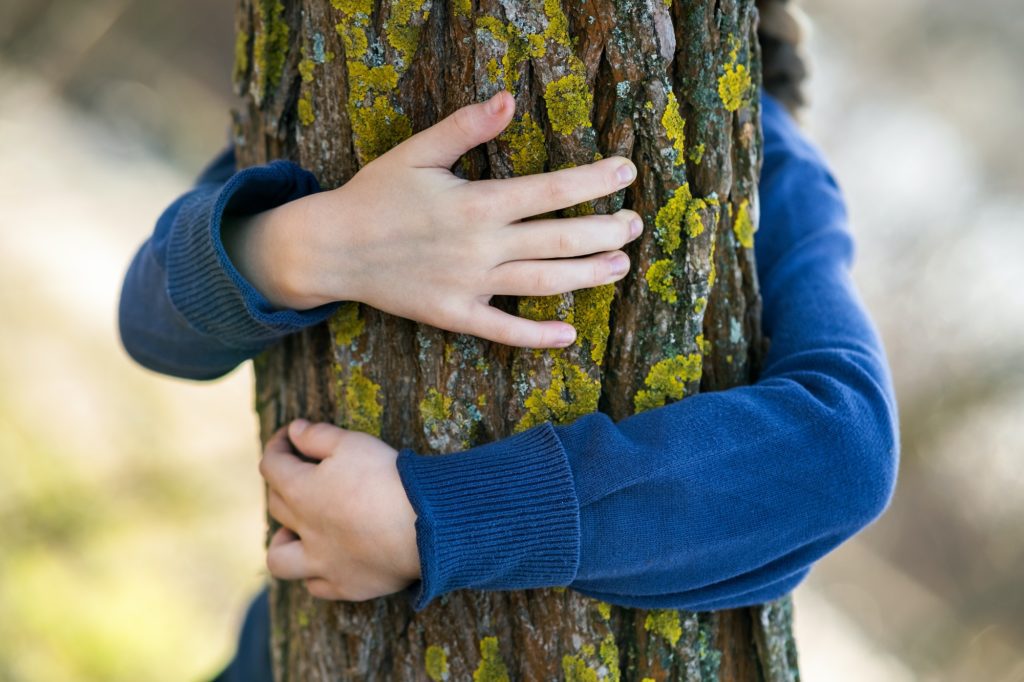 Close up of child hands embracing a tree trunk