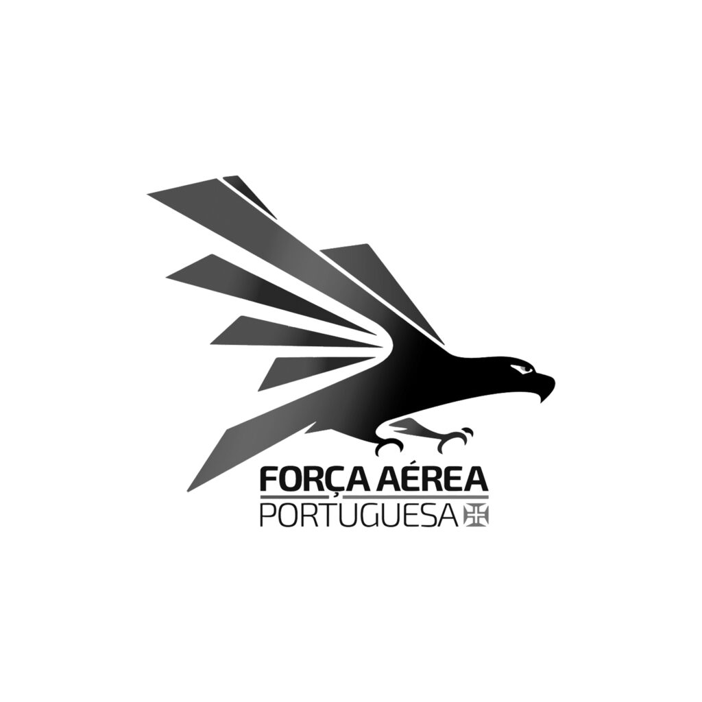 força aérea portuguesa