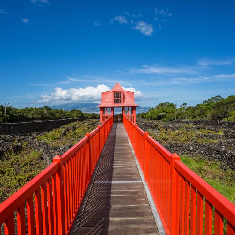 Museu do Vinho Pico AudioGuia